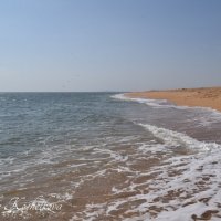 Природа Крыма :: Amazing Cosmea