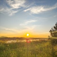 .... :: Андрей 