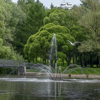 Парки Москвы :: Aleksey Afonin