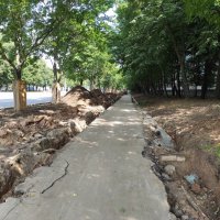 Московский бордюринг :: Игорь Ч.