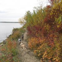 На берегу :: Anna Ivanova