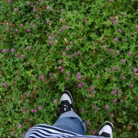 * :: Наталья Покацкая * :: Наталья Покацкая