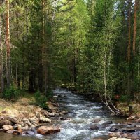 ... :: Юрий Ковшов