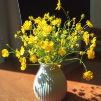 Солнечные лютики. :: Лилия * Солнечные лютики. :: Лилия *