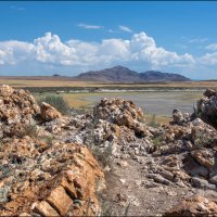 Остров Антилопы :: **** vedin Остров Антилопы :: **** vedin