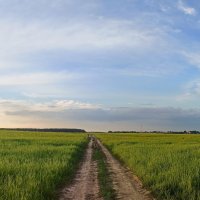 Путь вперёд. :: Alexandr Gunin Путь вперёд. :: Alexandr Gunin