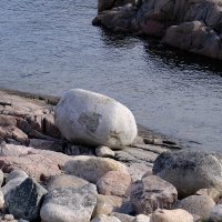 Камушки :: Андрей Зайцев Камушки :: Андрей Зайцев