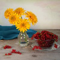 С красной смородиной :: Елена П