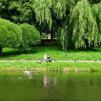 Девочка кормит уток. :: Милешкин Владимир Алексеевич Девочка кормит уток. :: Милешкин Владимир Алексеевич