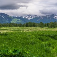 ... :: Жора Житников