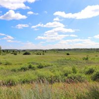 Красота зауральских просторов :: Любовь Сахарова