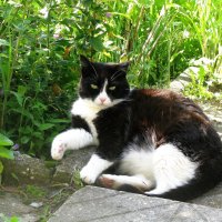 Я отдыхаю :: Людмила Смородинская Я отдыхаю :: Людмила Смородинская