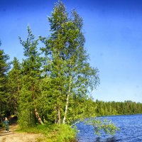 берег :: Ольга Cоломатина