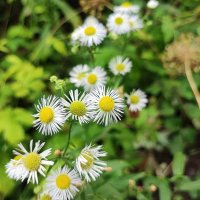 ,,, :: Сергей Тимоновский