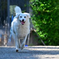 Земное притяжение нам незнакомо :: Светлана