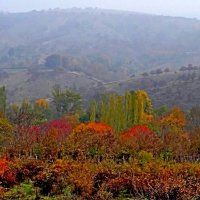 ПО НИЗАМ. :: Виктор Осипчук