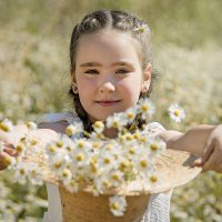 Ромашковое лето :: Svetlana Galvez