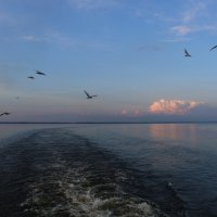 Вечер на Волге :: Ольга 