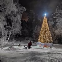 . :: Алексей Неустроев