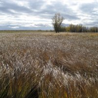 Осень :: Anna Ivanova