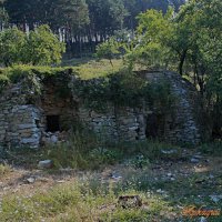 ДОТ(Долговременная огневая точка) :: Аркадий Басович