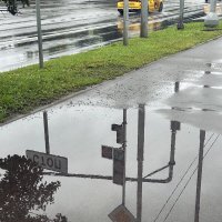 Сегодня дождь :: Oleg4618 Шутченко