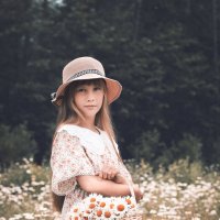 Ромашковое лето v.2 :: Alexander Fedotov