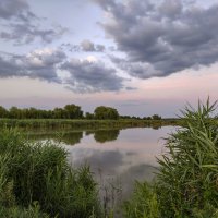 Река Журавка. Вечерний покой… Камыши у реки качают облака в воде. :: Валерий Ткаченко