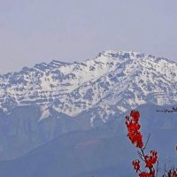 ПО НИЗАМ. :: Виктор Осипчук ПО НИЗАМ. :: Виктор Осипчук