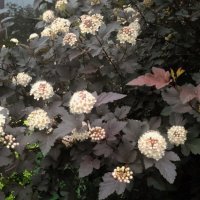 лето 2025 :: Анастасия Малыгина