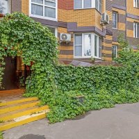 Зелёный подъезд :: Валерий Иванович