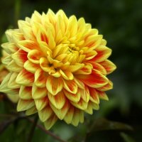 Сияющий :: Юрий. Шмаков