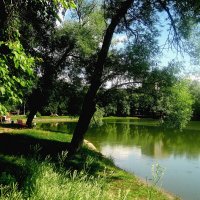 На озере летом :: Елена Семигина