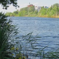 июньская зарисовка :: Елена Шаламова