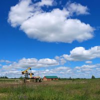 На летних полях.. :: Андрей Заломленков