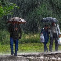 ливень... :: Владимир Матва ливень... :: Владимир Матва