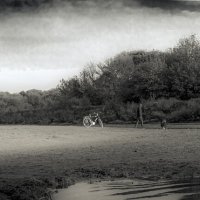 Маленькая история в чб :: Sergei Vikulov