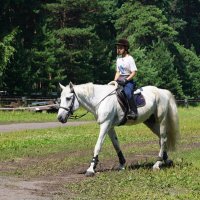 Белый и печальный :: Наталия Григорьева