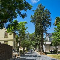 Тель-Авив            *         11,07,2025г :: ujgcvbif 