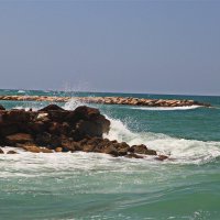 Хайфа 2025 :: Владислав Воровский 