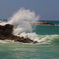 Хайфа 2025 :: Владислав Воровский 