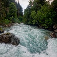 Махар :: Дмитрий Емельянов