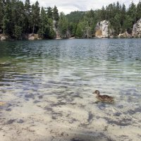 ** :: Александр Липовецкий ** :: Александр Липовецкий