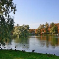 ** :: Александр Хаецкий