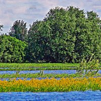 Июнь...Летний день на протоке Сырой Аган! :: Владимир 