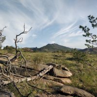 Сказка леса :: Андрей Хлопонин Сказка леса :: Андрей Хлопонин