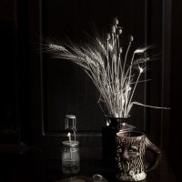 Простой натюр :: Роман Савоцкий