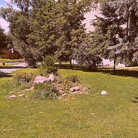 Московский двор. :: Владимир Драгунский