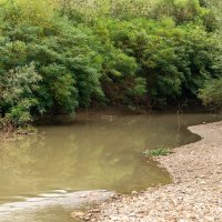 Протока :: Игорь Сикорский