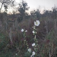 Talgar. :: Murat Bukaev 